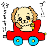 riekimのトイプードルのぷーちゃん