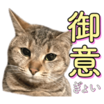 ちんみのスタンプ2022〜春〜