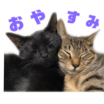 黒とキジトラ（枇杷と桜）