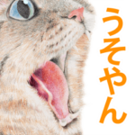 関西弁リアル猫