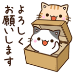 大人の便利な５匹のちび猫