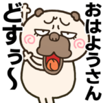 ウザ～く煽るパグ☆京都弁