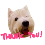 ウエスティと上野の森の仲間たち