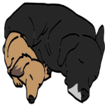 うちの子スタンプ。ビビと可愛い家族