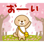 突撃！ラッコさん 春から初夏編