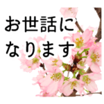 暮らしに花を♪桜