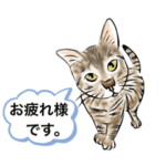 あしたもしっぽ1