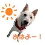 保護犬ラブのチャリティースタンプ。