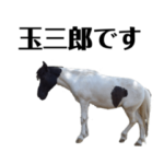 うまの玉三郎 Part.1