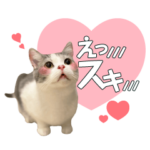 BAKENEKO　CAFE　スタンプ