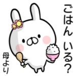 専用名前ウサギ