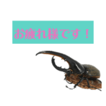 昆虫スタンプPART2～ビジネス～