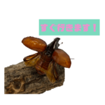 昆虫スタンプPART1