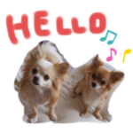 みなみ野の仲良しワンコ隊 日常スタンプ