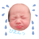 そまくんと愉快な仲間たち☆