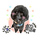 Black treasure's blessing