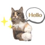 Eve & Lilia – the Cat Goddesses