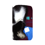 Treasure cat lying flat