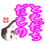 キジとらニャンコ❤️あなたは私の宝物