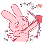 女子力の高いうさぎ