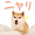 柴犬だいふくの毎日モフモフ