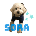 そらスタンプ2022