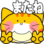 可愛いにゃんこ達ふわ番外編