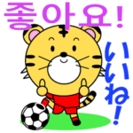 韓国のサッカータイガー