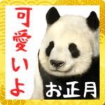 可愛い！どうぶつ達の年末年始 BIGスタンプ