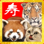 BIGな動物たちの年末年始 ほほえみフレンズ