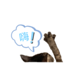 AMY KU_20220313222355