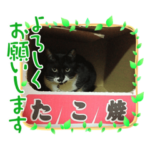 たーちゃんの日常使いスタンプ