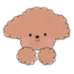 ふわもじゃトイプードル