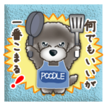 TOY POODLE トイプードル V7