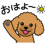 Cute! 動く! トイプードルスタンプ