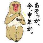 ニホンザルこれくしょん
