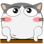 ハチワレ猫★すべての会社員に捧ぐ