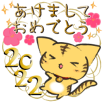 ふにゃん Vol.7 – 新年の茶トラ –