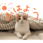 ビスコ女子力スタンプ