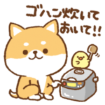 家族用♥かわいいかまってチビ柴 その7