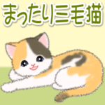 まったり三毛猫の毎日