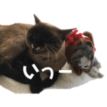 福を招く招き猫