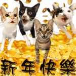 招き猫, ラッキーな猫があなたの家に来る！