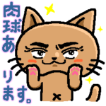 招き猫組。肉球のある日常。