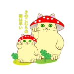 元祖きのこねこ