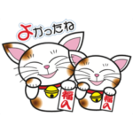 送った人を幸せな気持ちにさせる招き猫