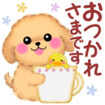 毎日使える春のかわいいトイプードル