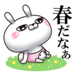 ひとえうさぎ41（春編）