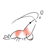 えいごでビーシュリンプたち。