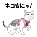 ネコ吉スタンプ Vol.3